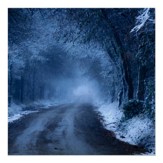 Frozen Perfect Poster (Voorkant)