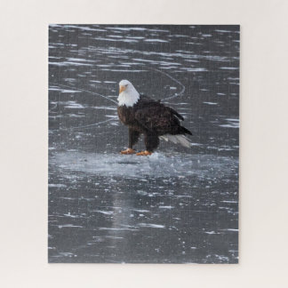 Frozen Waters Eagle Puzzel