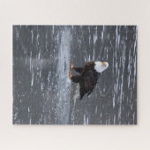 Frozen Waters Eagle Puzzel (Horizontaal)