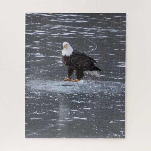 Frozen Waters Eagle Puzzel Legpuzzel (Verticaal)