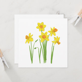 Frühlingsblumen, Narzisse.
