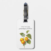 fruit, abrikozenpit, roodbaars bagagelabel (Achterkant verticaal)