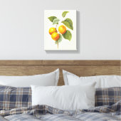  fruit, abrikozenpit, roodbaars canvas afdruk (Insitu (Slaapkamer))