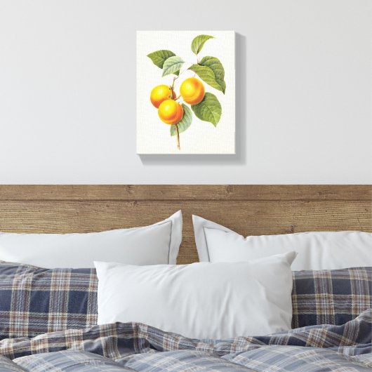  fruit, abrikozenpit, roodbaars canvas afdruk (Insitu (Slaapkamer))