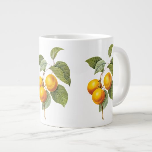 fruit, abrikozenpit, roodbaars extra grote mok (Voorkant rechts)