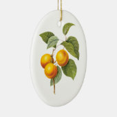  fruit, abrikozenpit, roodbaars keramisch ornament (Rechts)