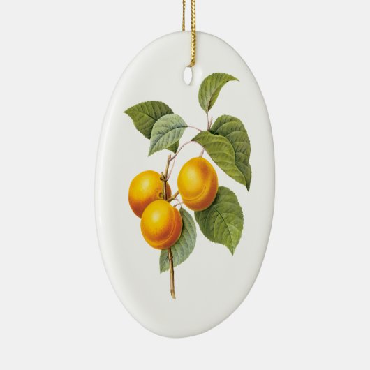  fruit, abrikozenpit, roodbaars keramisch ornament (Rechts)