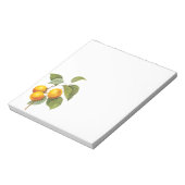 fruit, abrikozenpit, roodbaars notitieblok (Gedraaid)