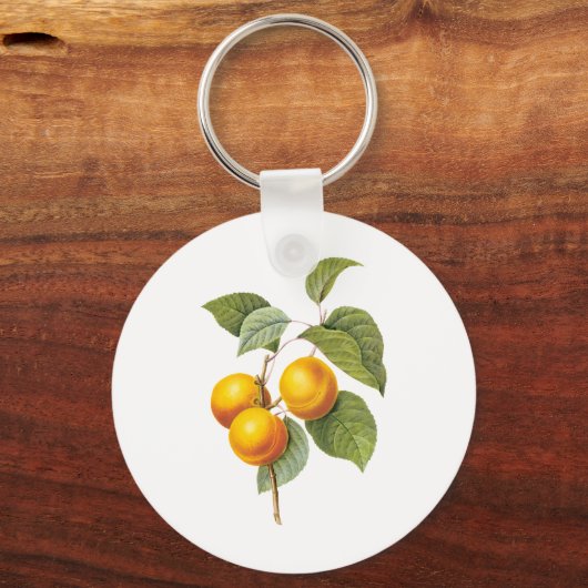  fruit, abrikozenpit, roodbaars sleutelhanger (Voorkant)