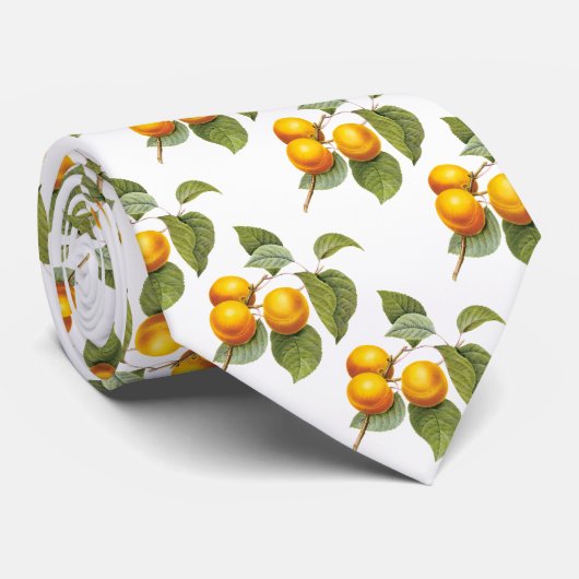  fruit, abrikozenpit, roodbaars stropdas (Opgerold)