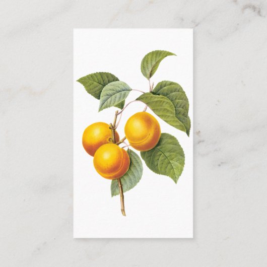 fruit, abrikozenpit, roodbaars visitekaartje (Achterkant)