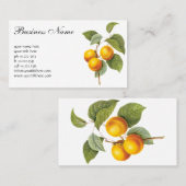 fruit, abrikozenpit, roodbaars visitekaartje (Voorkant / Achterkant)