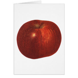 Fruit Alimentaire Ancien, Pomme Rouge Délicieuse B