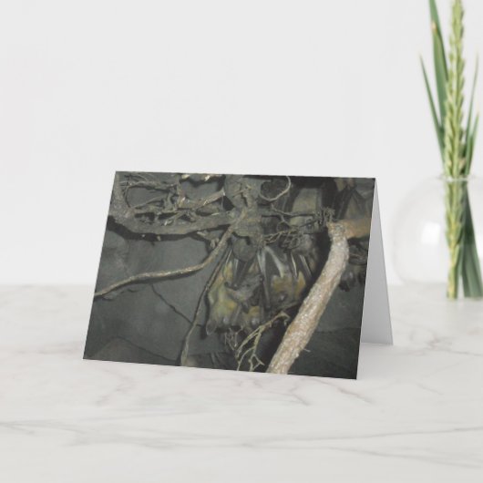 "Fruit Bats" Birthday Card Kaart (Voorkant)