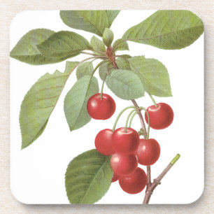  fruit Cherry Food, Cherries van Redoute Drankjes Onderzetter