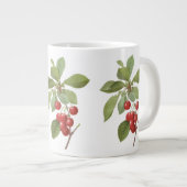  fruit Cherry Food, Cherries van Redoute Extra Grote Beker (Voorkant rechts)