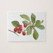 fruit Cherry Food, Cherries van Redoute Legpuzzel (Horizontaal)
