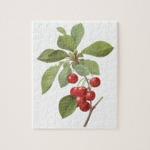 fruit Cherry Food, Cherries van Redoute Legpuzzel