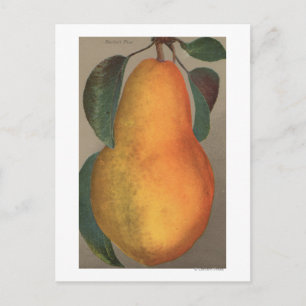 Fruit Chromo Lithograaf van Bartlett Pear Briefkaart