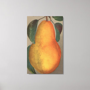 Fruit Chromo Lithograaf van Bartlett Pear Canvas Afdruk