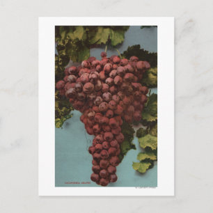 Fruit Chromo Lithograaf van California Grapes Briefkaart