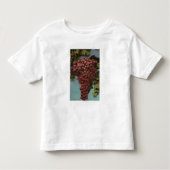 Fruit Chromo Lithograaf van California Grapes Kinder Shirts (Voorkant)