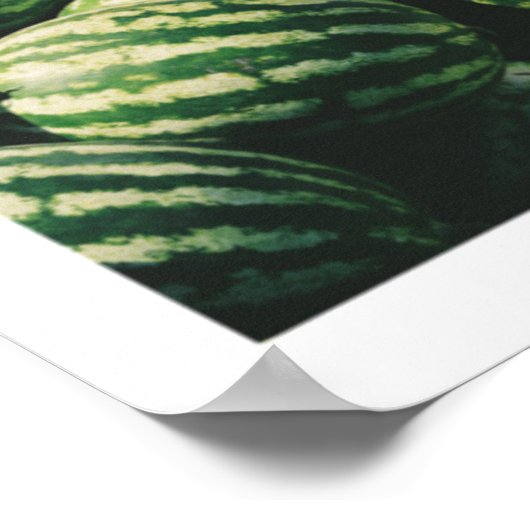 FRUIT-collage Poster (Hoek)