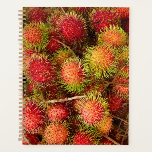 Fruit de Rambutan au marché de Can Duoc (Devant)
