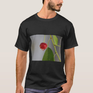 Fruit Drop Splash Art T-shirt