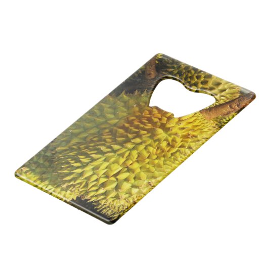 Fruit durian (Dos Angle)