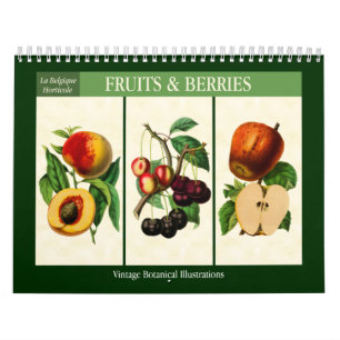 Fruit en bessen  Botanisch 2025 Kalender