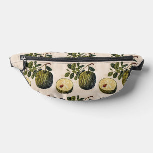 Fruit et feuillage durian