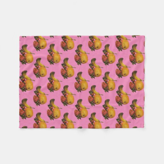 Fruit Fleece Blanket (Voorkant (Horizontaal))