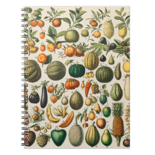 Fruit Groente Botanische Wetenschappelijke Illustr Notitieboek