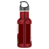 Fruit Kersen Waterfles (Achterkant)