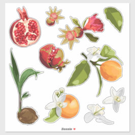 Fruit. Kokosnoot. Pomegranate. Orange. Sticker