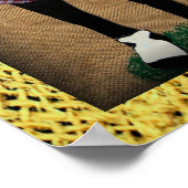Fruit Lady Poster (Hoek)