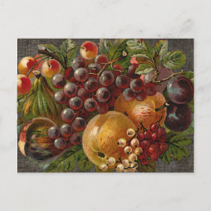 Fruit Oogst Thanksgiving Briefkaart