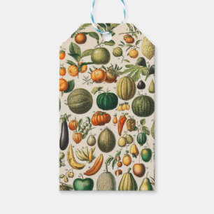 Fruit plantaardige botanische wetenschappelijke il cadeaulabel