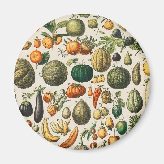 Fruit plantaardige botanische wetenschappelijke il magneet (Voorkant)