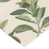 Fruit plantaardige botanische wetenschappelijke il medium tafelloper (Hoek)