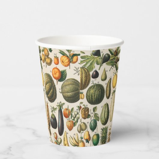 Fruit plantaardige botanische wetenschappelijke il papieren bekers (Rechts)