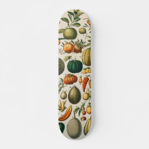 Fruit plantaardige botanische wetenschappelijke il skateboard