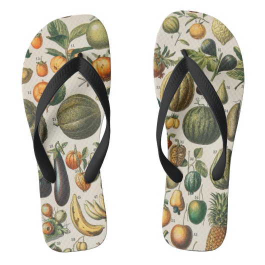 Fruit plantaardige botanische wetenschappelijke il teenslippers (Voetbed)