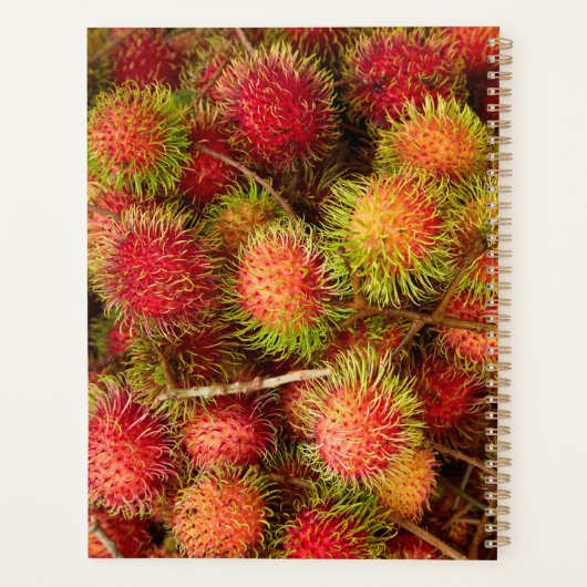 Fruit Rambutan au marché Can Duoc (Dos)