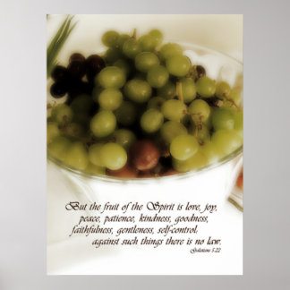 Fruit van gedistilleerde dranken poster
