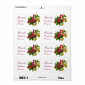 FRUIT VAN HET SEIZOEN / FRAMBOZEN ETIKET (Full Sheet)