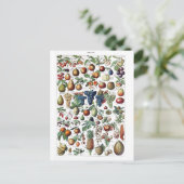 Fruit Vegetable Farmer  Botanisch Briefkaart (Staand voorkant)