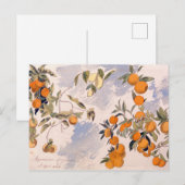 Fruitbomen - Edward Lear Briefkaart (Voorkant / Achterkant)