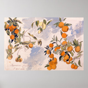 Fruitbomen - Edward Lear Poster